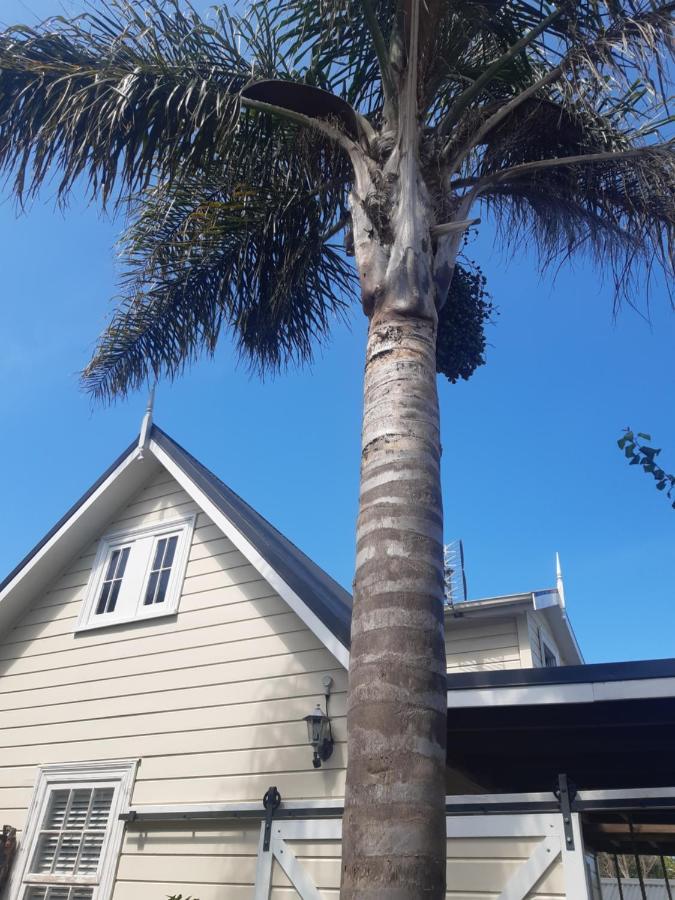 Harbour View Cottage 오클랜드 외부 사진
